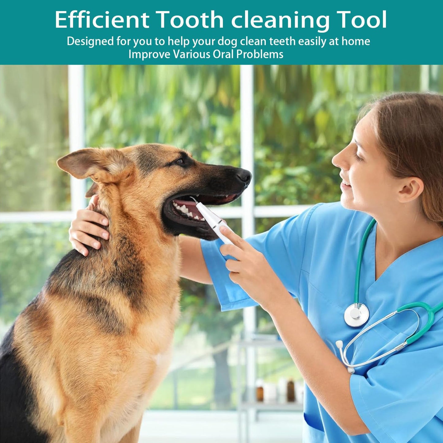 Psytpusa Dog Teeth Cleaning Kit - Dental Plaque Remover Tool, 3 Cleaning Modes, LED Light