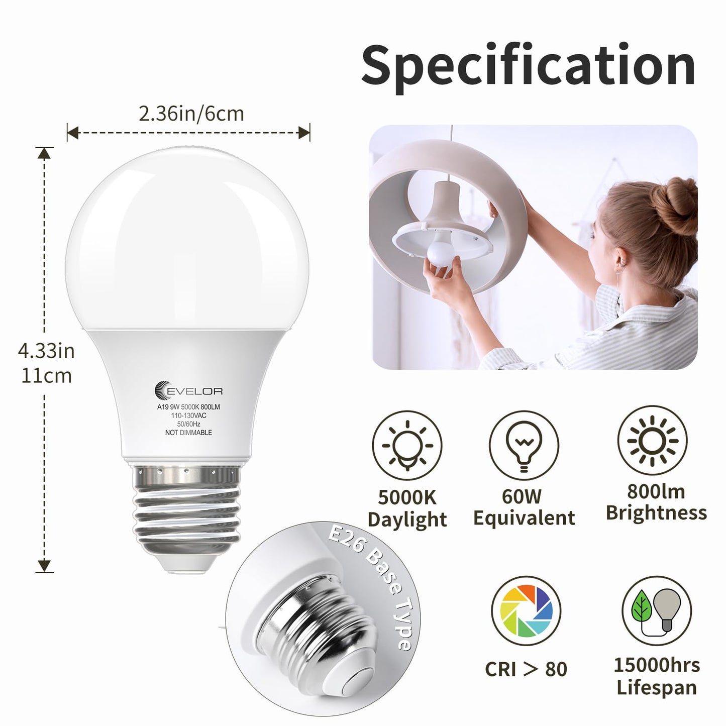 evelor 6-Pack A19 LED Light Bulbs,60 Watt Equivalent Daylight 5000K with E26 Base,Efficient 9W,800 Lumens Non-Dimmable LED Bulbs,15000 Hours, Ideal for Bedroom Living Room