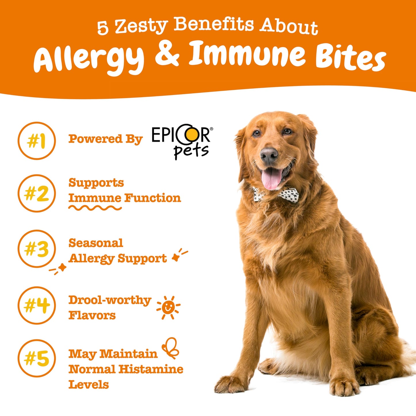 Zesty Paws Dog Allergy Relief- Dog Itching Skin Relief- Dog Probiotics for Itchy Skin and Itchy Ears- Dog Allergy Paw Relief- Dog Allergy Chews- Dog Itch Relief - Dog Skin Allergy Relief - Lamb - 90ct