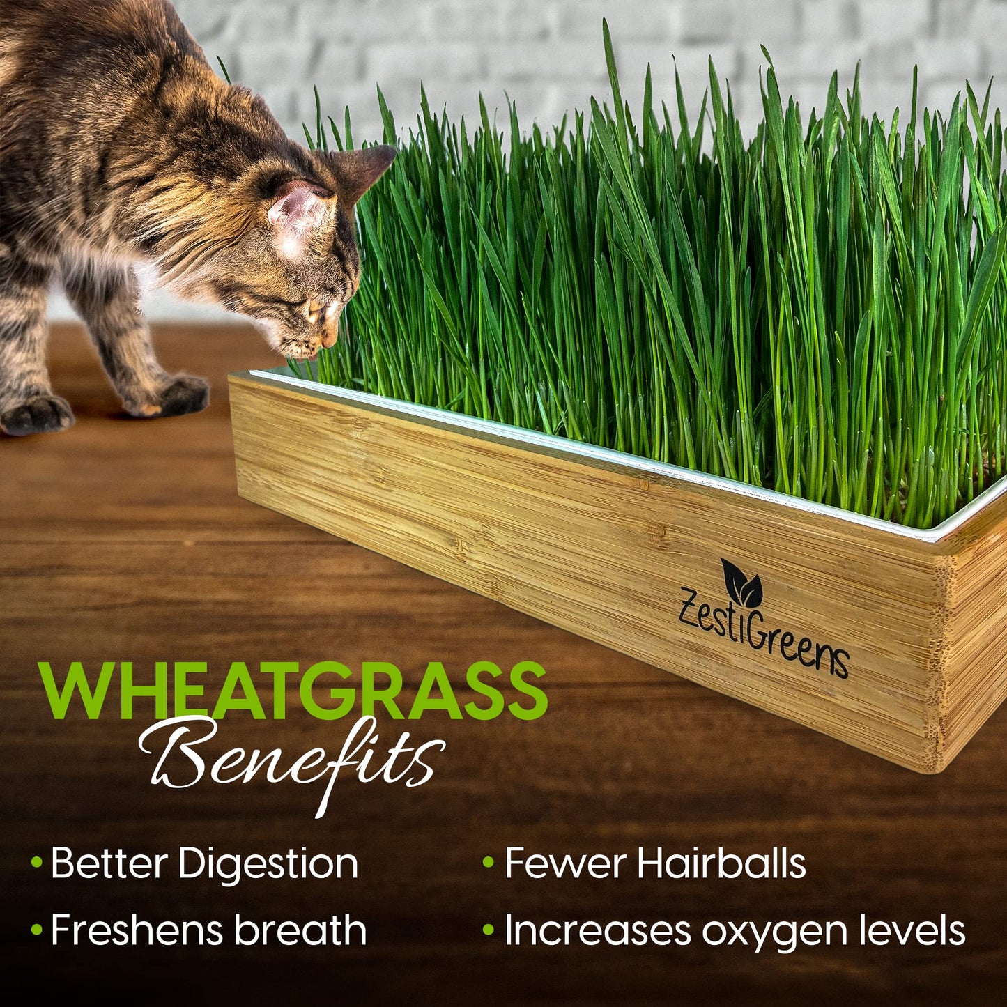 Cat Grass Refills for Self Watering Cat Grass Kit - 4 Mats and 4 Cat Grass Seed Packets (Refill Kit)