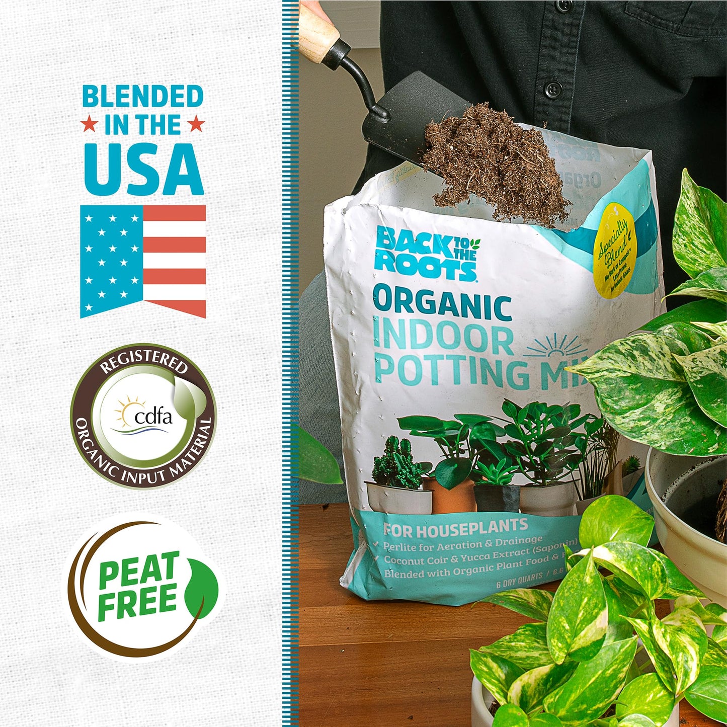 Back to the Roots 100% Organic Indoor Potting Mix (6 Quart), Promotes Healthy Houseplant Growth, Made in The USA