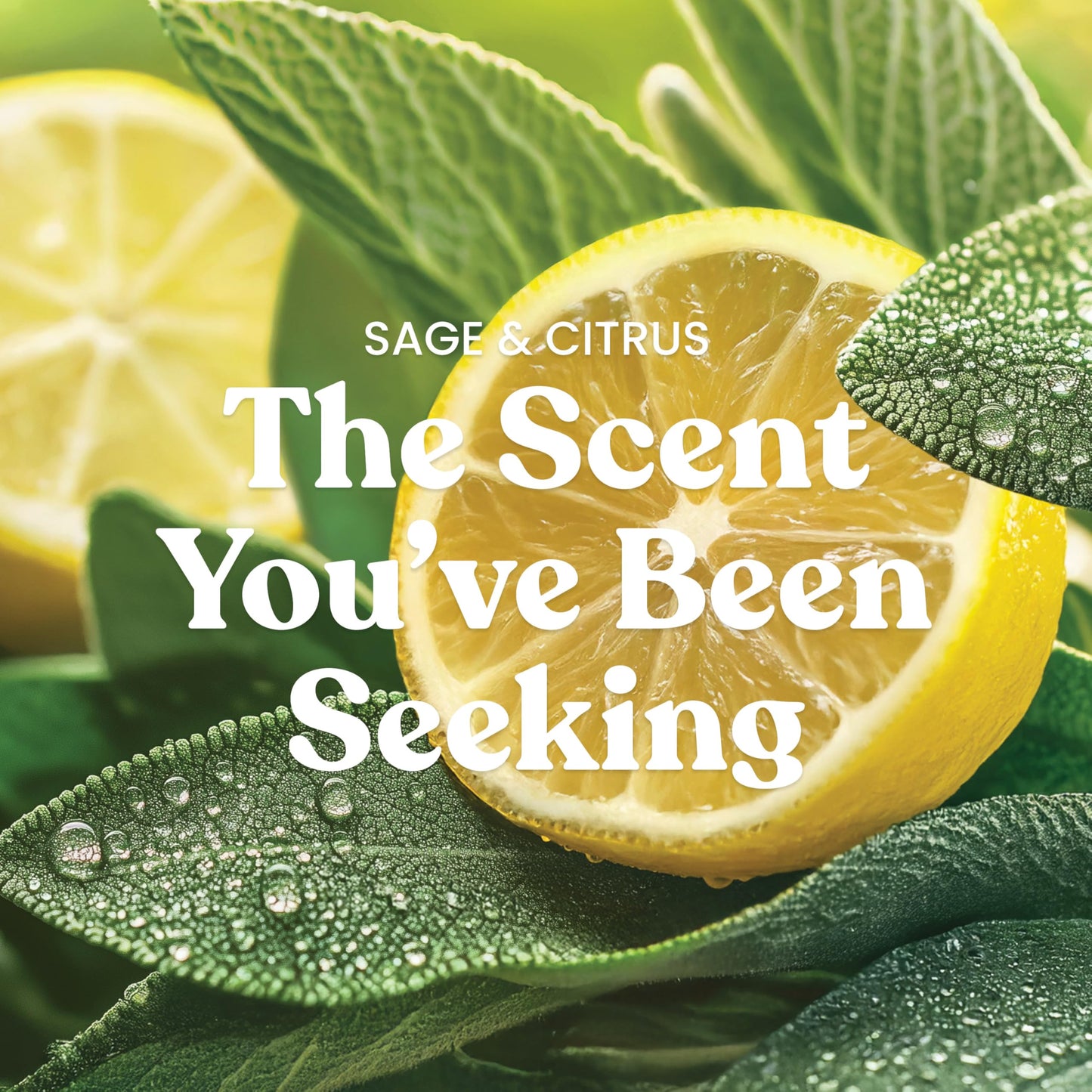 Yankee Candle Sage & Citrus Scented Candle, 22oz Large Jar with up to 150 Hour Burn Time, Great for gifting, Birthdays