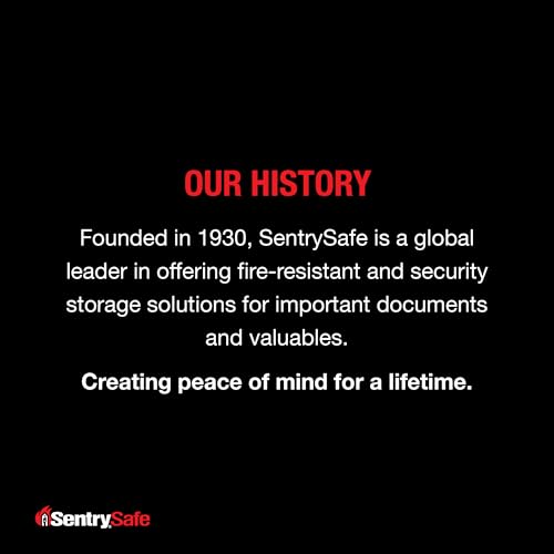 SentrySafe Portable Black Safe Box with Digital Keypad Lock, Small Steel Travel Safe with Carrying Handle for Money, Passport, 0.21 Cubic Feet, 4.4 x 13 x 10 Inches, P021E