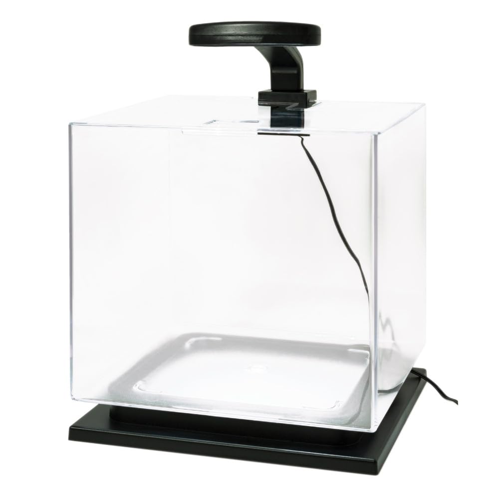 Tetra 3 Gallon Fish Tank, Aquarium Starter Kit with Pedestal Base, LED Light and Filter, For small tropical fish, guppies, goldfish, or betta