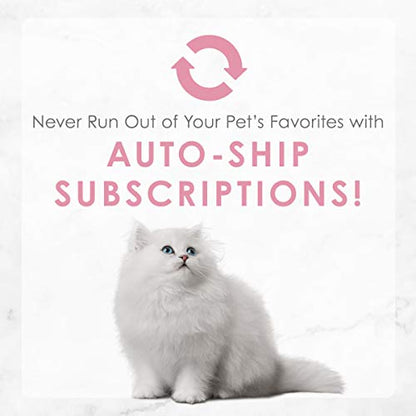 Purina Fancy Feast Kitten Tender Turkey Feast Wet Kitten Food Pate - (Pack of 24) 3 oz. Cans