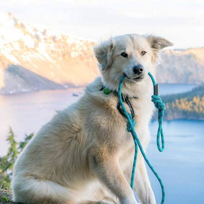 12KN Heavy Duty Carabiner Clips - Favofit 3.2'' Small Carbineers for Hiking Camping Hammocks Keys Keychains Dog Leashes - Ideal for Outdoor Enthusiasts