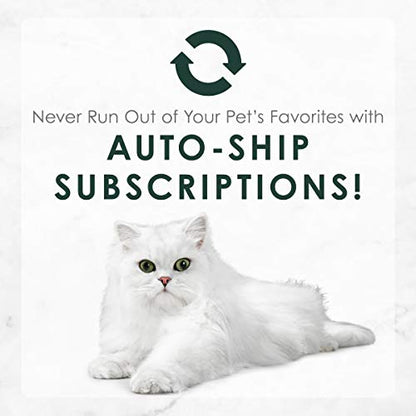 Purina Fancy Feast Senior Wet Cat Food 7 Years Plus Chicken Feast in Gravy Minced - (Pack of 24) 3 oz. Cans