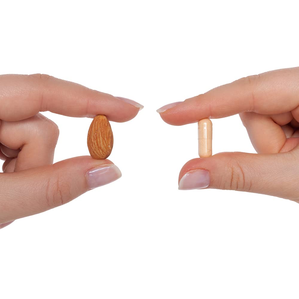 Seeking Health B-Minus, Vitamin B Complex to Support Methylation, MTHFR Support, Methyl-Free, Niacin, Biotin Supplement for Women, Vegetarian Capsules (100 Capsules)*