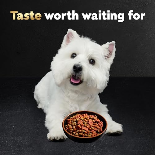 Cesar Small Breed Dry Dog Food Filet Mignon Flavor and Spring Vegetables Garnish, 12 lb. Bag