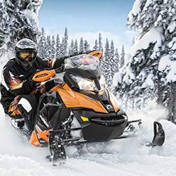 Renogy 5W Solar Trickle Charger Portable Battery Maintainer with Lighter Plug/Alligator Clips/Battery Cables for Car Boat Marine Motorcycles Truck