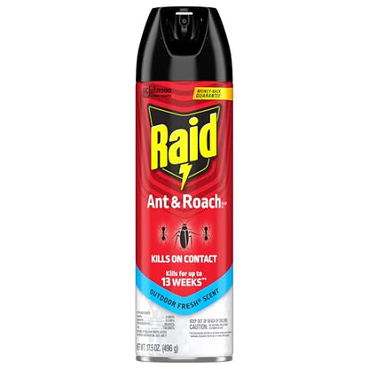 Raid Ant & Roach Killer Spray For Listed Bugs, Keeps Killing for Weeks, Fresh Scent, 17.5 oz
