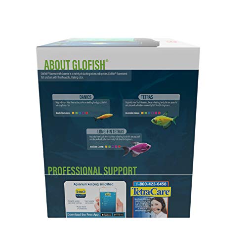 GloFish Crescent Aquarium Kit 5 Gallons, Includes Hidden Blue LED Light And Internal Filter