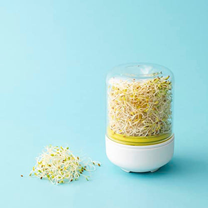Chef'n Countertop Sprouter Growing Kit, One Size, Baking White/Wasabi/Glass