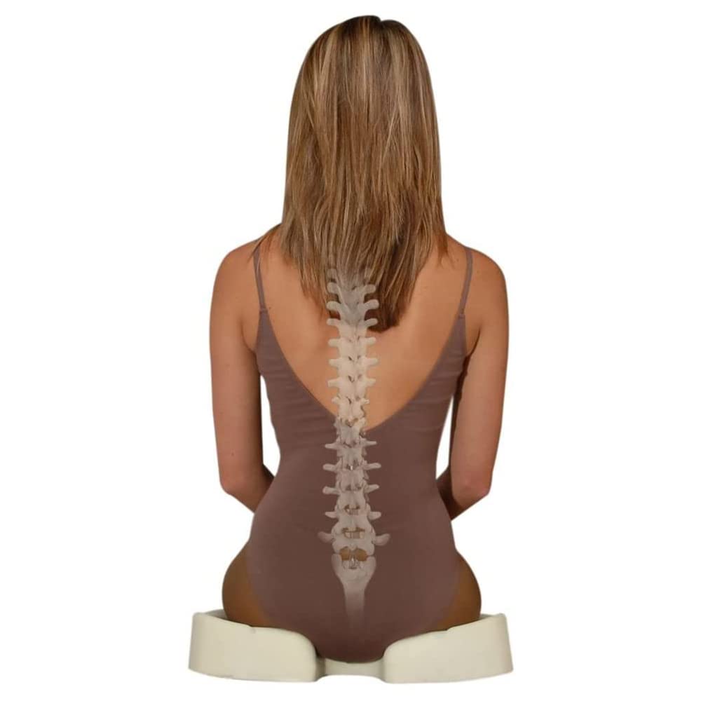 Contour Products Kabooti Coccyx Foam Seat Cushion, Blue