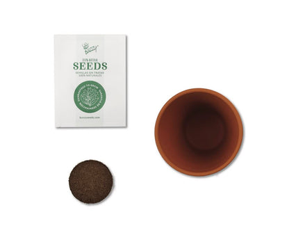 Buzzy Seeds Terracotta Mini Grow Pots | Herb, Plant, Flower Starter Kit for Kids & Adults | Assorted 6-Pack, Daydream Collection | Guaranteed to Grow | Best Indoor-Outdoor Gardening Gift