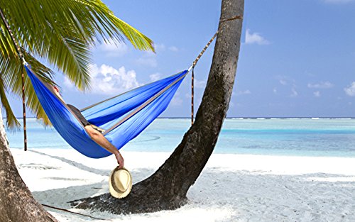 12KN Heavy Duty Carabiner Clips - Favofit 3.2'' Small Carbineers for Hiking Camping Hammocks Keys Keychains Dog Leashes - Ideal for Outdoor Enthusiasts