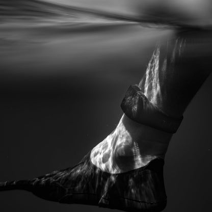 SHARKBANZ 2 - All Black Limited Edition - Magnetic Shark Deterrent Band for Swimming, Surfing, Diving, Snorkeling and All Ocean Sports