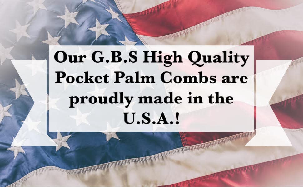 G.B.S Pocket Palm Brush Portable Comb Massager for Pet Hairs, Black, Pack of 2