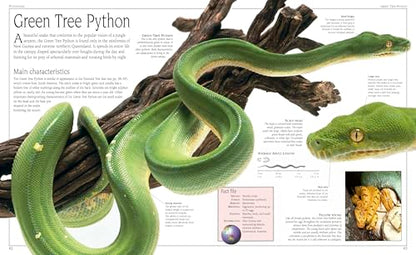 Snake: The Essential Visual Guide