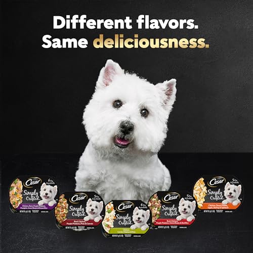 Cesar Simply Crafted Adult Wet Dog Food Meal Topper, Chicken, 1.3 oz. (10 Count, Pack of 1)