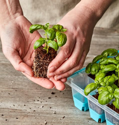 Burpee SuperSeed Seed Starting Tray | 36 Cell Reusable Seed Starter Tray | for Starting Vegetable, Flower & Herb Seeds | Indoor Grow Kit for Plant Seedlings | for Germination Success