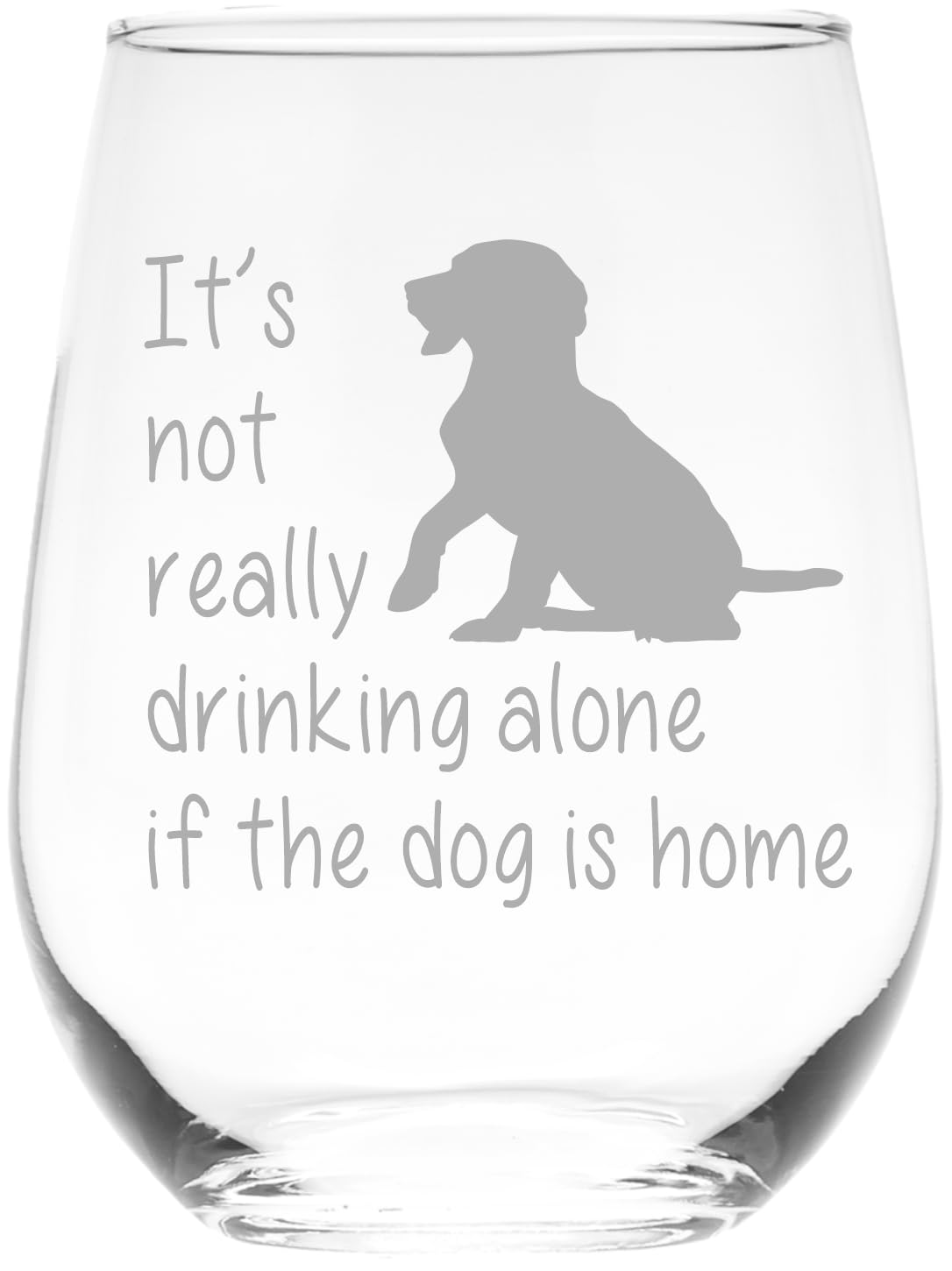 C M The Dog is Home Funny Stemless Wine Glass for Him, Her, Wife, Husband, Friend, Cute Dog Gift for Men Women - 17 oz (Style D1)