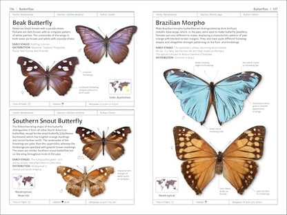 Butterflies and Moths (DK Smithsonian Handbook)