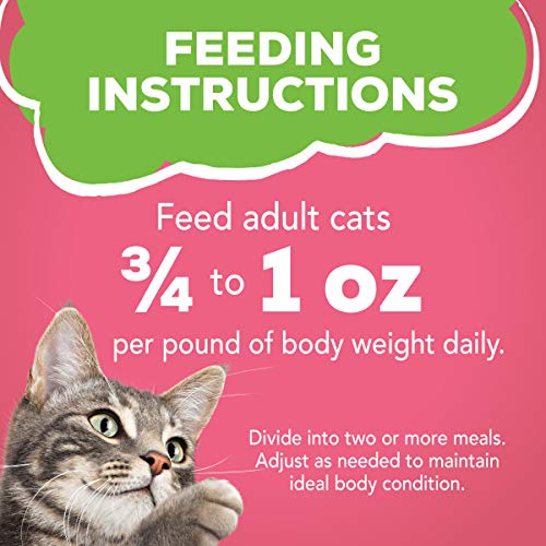 Purina Friskies Wet Cat Food Pate, Pate Salmon Dinner - (Pack of 24) 5.5 oz. Cans