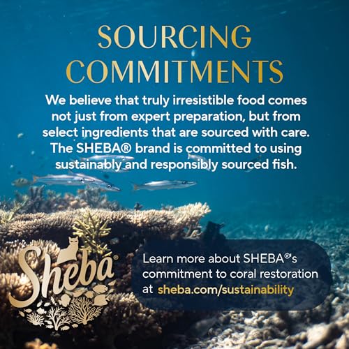 Sheba Perfect Portions Wet Cat Food Cuts in Gravy Variety Pack, Roasted Chicken Entree, with Sustainable Tuna, and Tender Turkey Entree, 2.6 oz. Twin-Pack Trays (36 Count, 72 Servings)