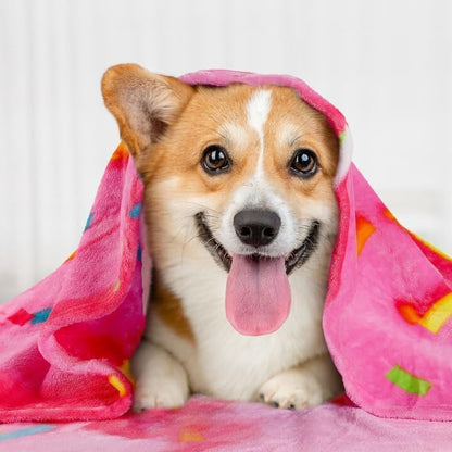 Zulay Giant Double Sided Glazed Donut with Gift Box Packaging - Novelty Blanket for Adults & Kids - Soft Flannel Round Glazed Donut Blanket for Indoors, Outdoors, Travel, Home, 285 GSM - 71 Inches