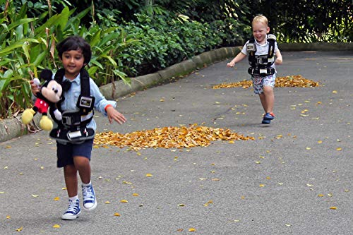 RideSafer - Small Black, Lightweight, Compact, Portable Car Seat - Perfect for Travel and Everyday Child Safety