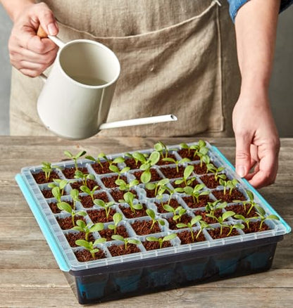 Burpee SuperSeed Seed Starting Tray | 36 Cell Reusable Seed Starter Tray | for Starting Vegetable, Flower & Herb Seeds | Indoor Grow Kit for Plant Seedlings | for Germination Success