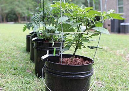 GroBucket Garden Kit (3PK) self-watering sub-irrigated Planter Insert. Turn Any Bucket into a self-watering Container Garden. Create an Indoor or Outdoor, Space Saving and Portable Garden in Minutes.