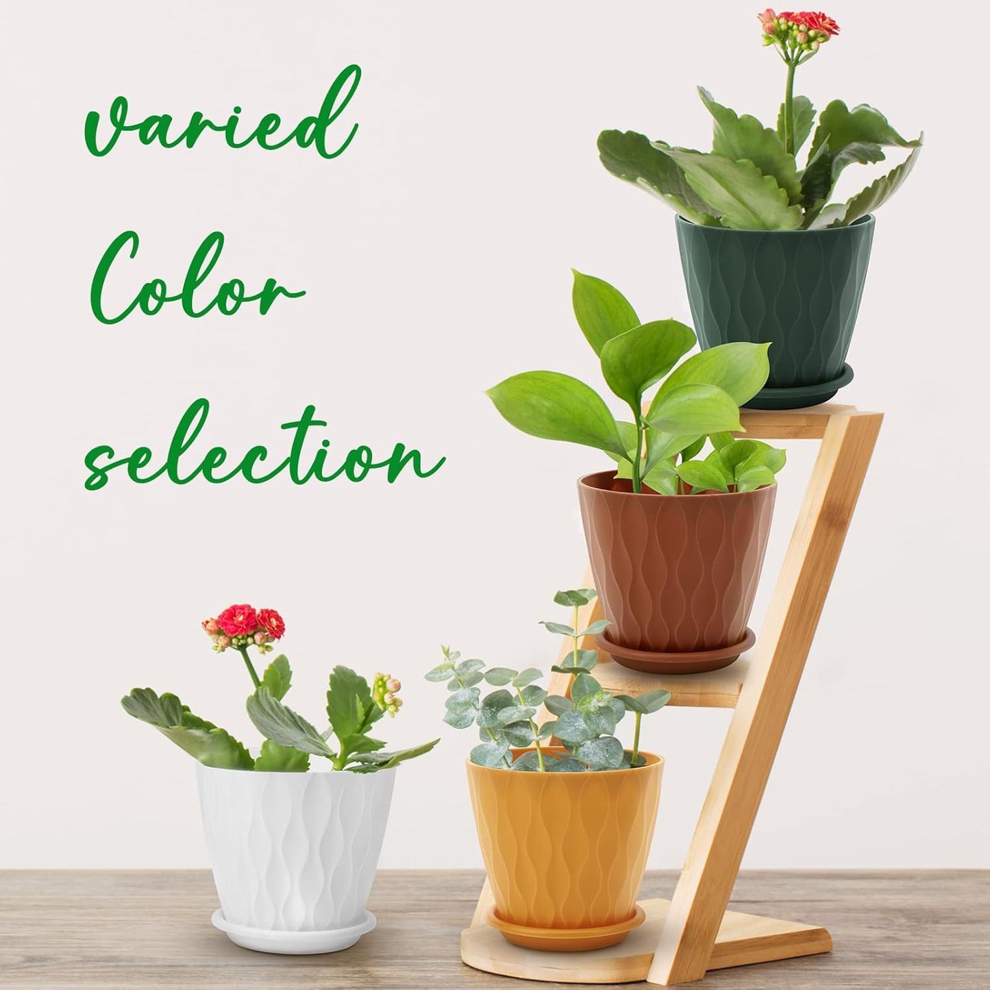 YNNICO 6 inch Plant Pots, 5 Pack Flower Pots Outdoor Indoor, Planters with Drainage Holes and Tray Saucers（Multicolor）