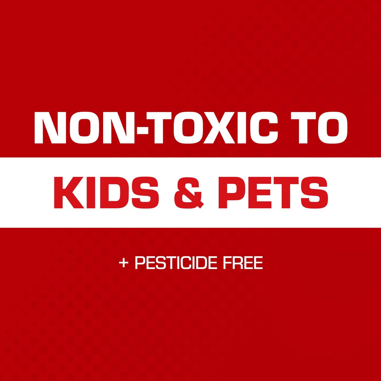 Tomcat Glue Traps Mouse Size with Eugenol for Enhanced Stickiness for Mice, Cockroaches, and Spiders, 6 Traps