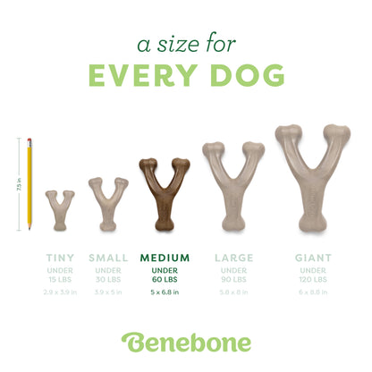Benebone Wishbone Durable Dog Chew Toy for Aggressive Chewers, Real Bacon, Made in USA, Medium