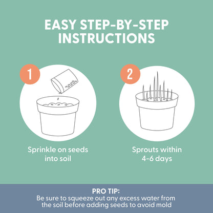 The Cat Ladies 100% Organic Cat Grass Seeds - Cat Grass for Indoor Cats - (Non GMO) 16 oz