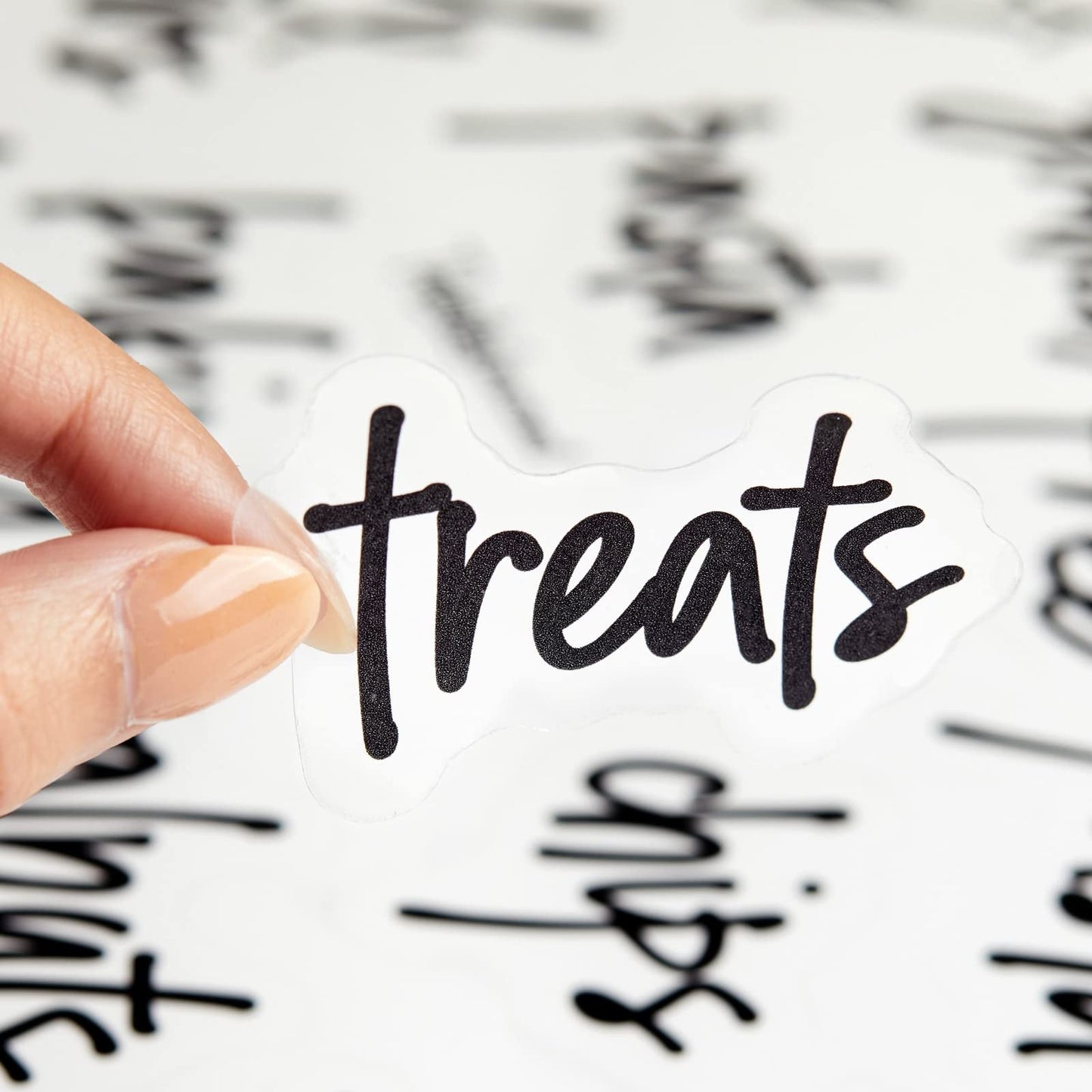 Talented Kitchen Pantry Labels for Food Containers 157 Piece - Preprinted Black Script Kitchen Food Organization Labels for Storage and Jars (Water-Resistant)