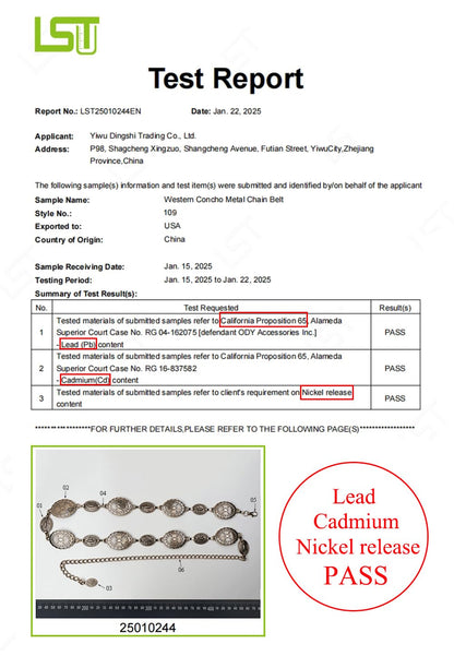 TOPACC Gold Metal Oval Concho Chain Belts for Women Western Cowgirl Belt for Dresses Jeans Country Concert Outfit