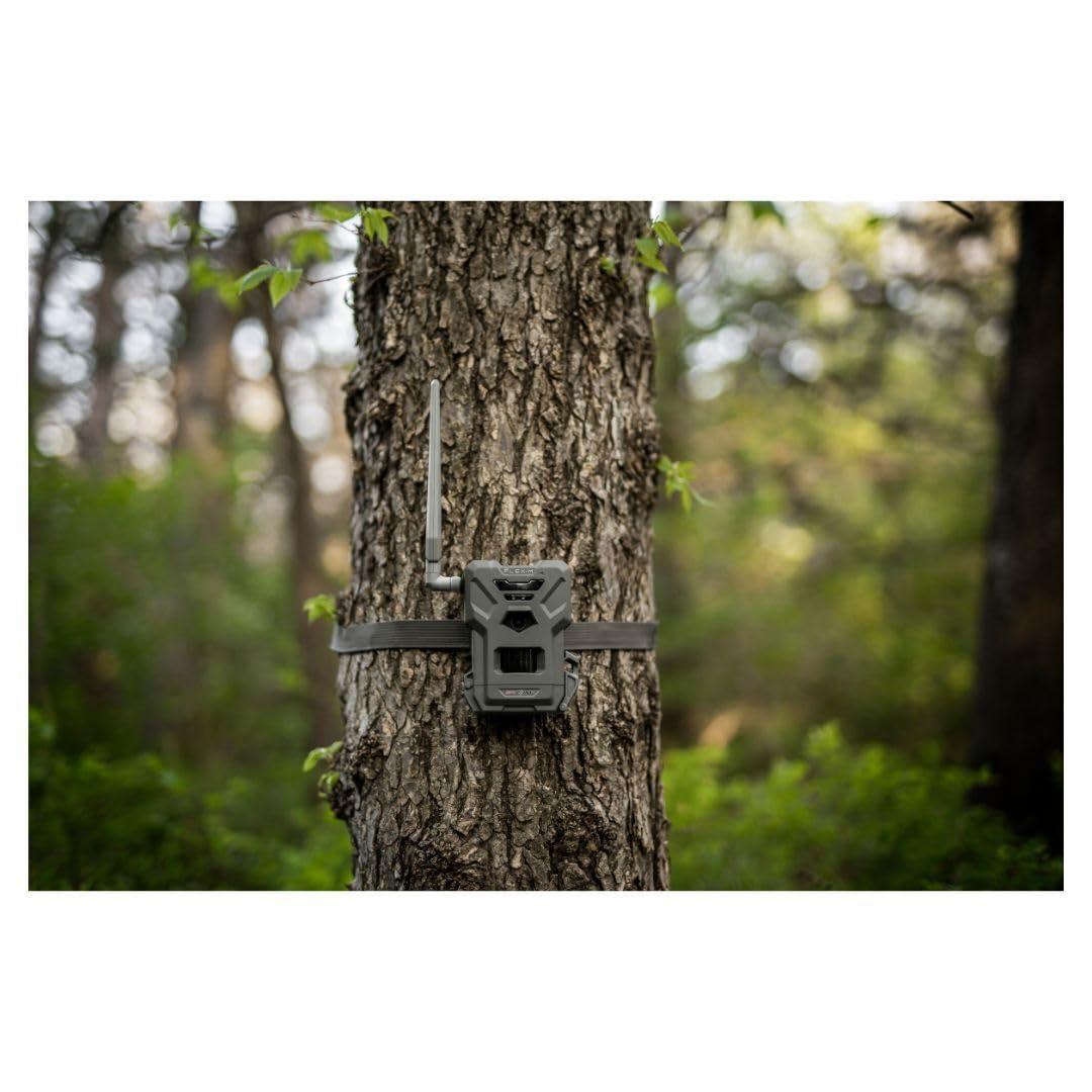 SPYPOINT Flex-M Twin Pack Cellular Trail Cameras - Best Hunting Accessories, No WiFi Needed, GPS, Night Vision, Dual-Sim LTE, IP65 Water-Resistant Game Camera, 28MP Photos, 720p Videos + Sound (2)
