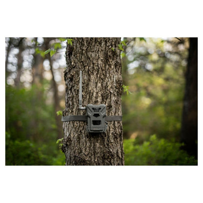 SPYPOINT Flex-M Twin Pack Cellular Trail Cameras - Best Hunting Accessories, No WiFi Needed, GPS, Night Vision, Dual-Sim LTE, IP65 Water-Resistant Game Camera, 28MP Photos, 720p Videos + Sound (2)