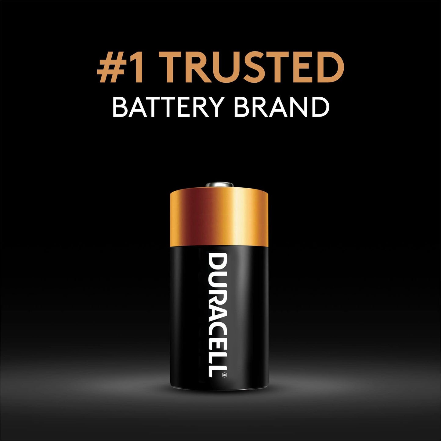 Duracell N 1.5V Batteries, 2 Count (Pack of 1), N 1.5 Volt Alkaline Battery, Long-Lasting for Remote Controls, Key Fobs, GPS Trackers, and More