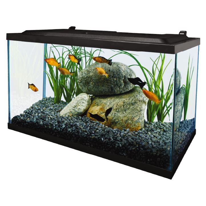 Tetra Aquarium, 10 Gallon, Complete Tropical Fish Tank Kit with LED Lighting for Freshwater Fish
