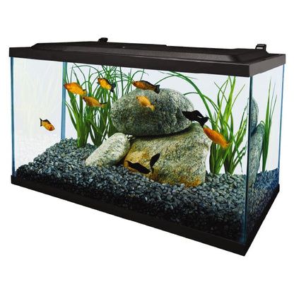 Tetra Aquarium, 10 Gallon, Complete Tropical Fish Tank Kit with LED Lighting for Freshwater Fish