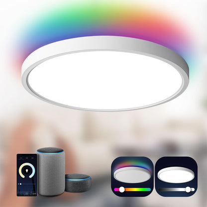 TALOYA Smart Ceiling Light Flush Mount LED WiFi,Compatible with Alexa Google Home,Dimmable Low Profile Ambient Light Fixture for Bedroom Living Room Hallway Kitchen Nursery,12 Inch,RGB