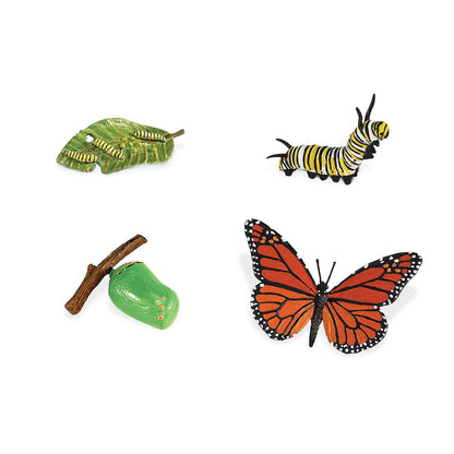 Safari Ltd. Life Cycle of a Monarch Butterfly - Educational Toy Figurines - Miniature Butterfly Lifecycle Collection for Boys, Girls & Kids Age 4+