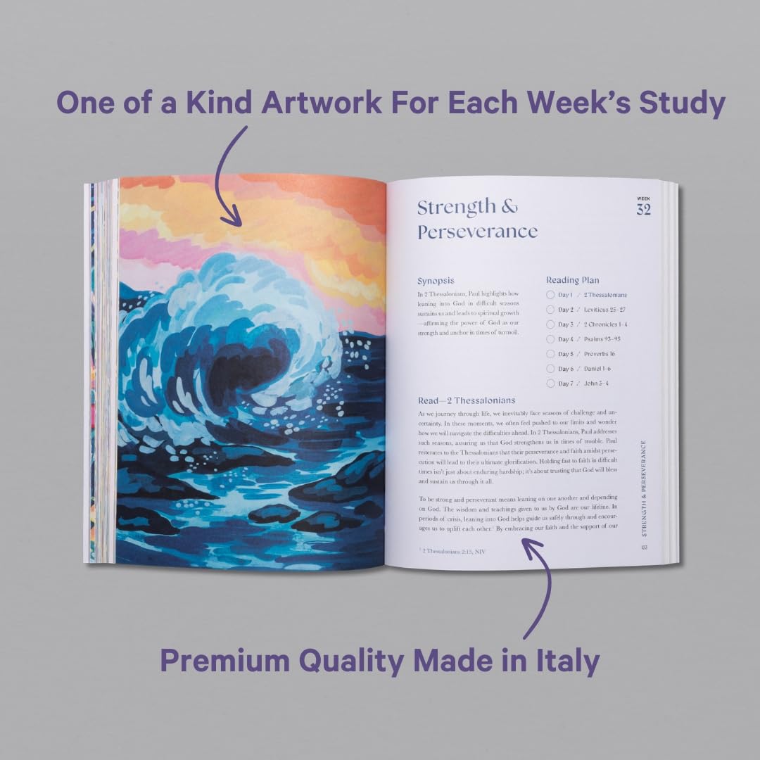 A Beautiful Year in the Bible: The 52-Week Bible Study for Women (SC)