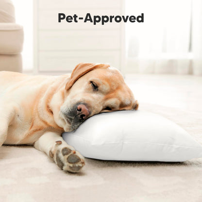 Toddler Pillow with Pillowcase - 13x18 My Little Dreamy Kids Travel Bed Pillows for Sleeping, Organic Cotton Small Pillowcase, Soft & Breathable, Machine Washable, Toddlers 2-5 Years Old (Soft White)