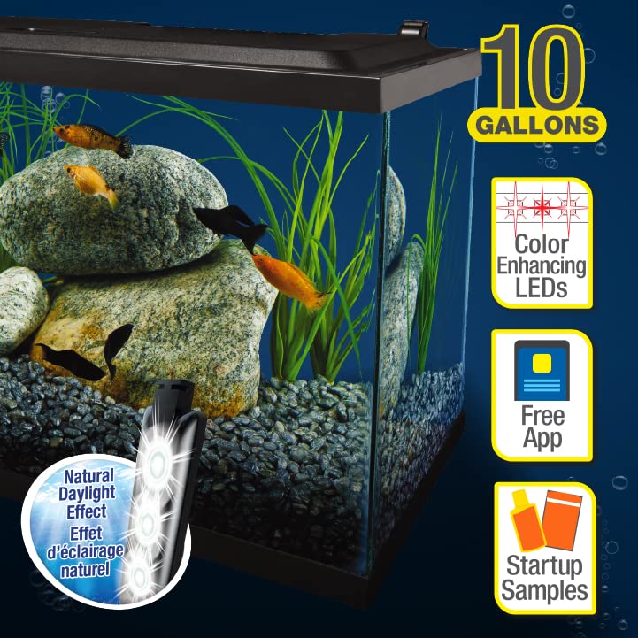 Tetra Aquarium, 10 Gallon, Complete Tropical Fish Tank Kit with LED Lighting for Freshwater Fish