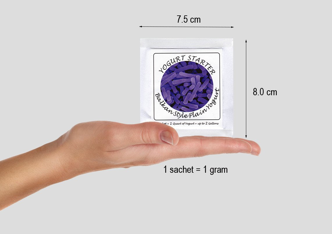 Yogurt Starter Cultures - Pack of 12 Freeze-dried Culture Sachets for Balkan Style Plain Yogurt (12)